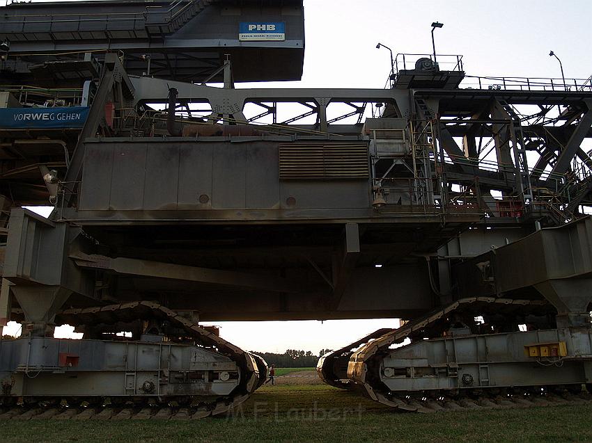 Bagger auf Reisen P254.JPG